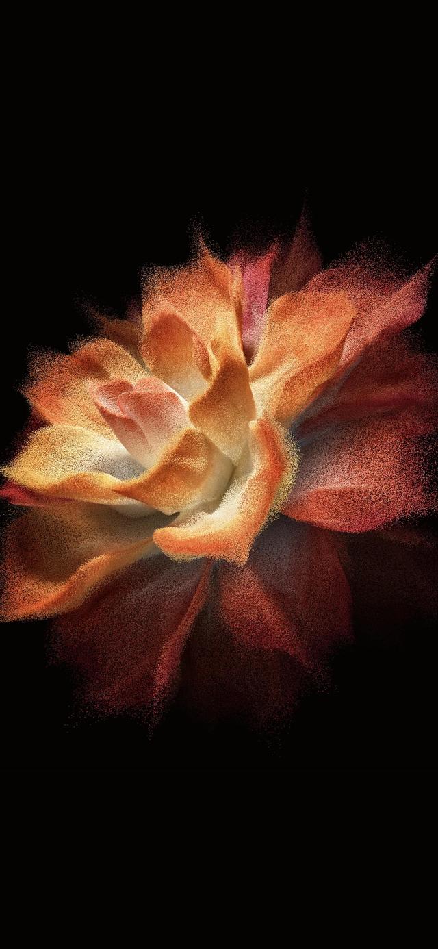 vivo动态壁纸，vivo手机怎么设置动态壁纸（Fold”内置高清壁纸·全面屏版）