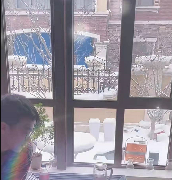 何庆魁和高秀敏有孩子吗，小别墅内景曝光太奢华