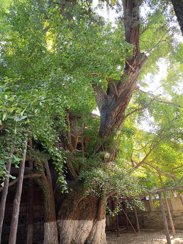 北京郊区一日游，北京郊区一日游最佳路线（曲径通幽好去处一一北京大觉寺一日游）