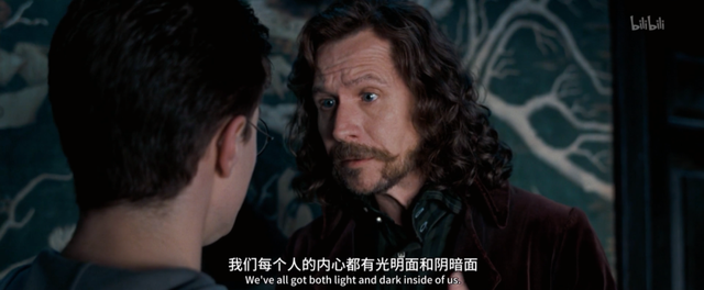 斯内普是好人还是坏人，《哈利波特》中斯内普是好的还是坏的（被嫌弃的斯内普的一生）