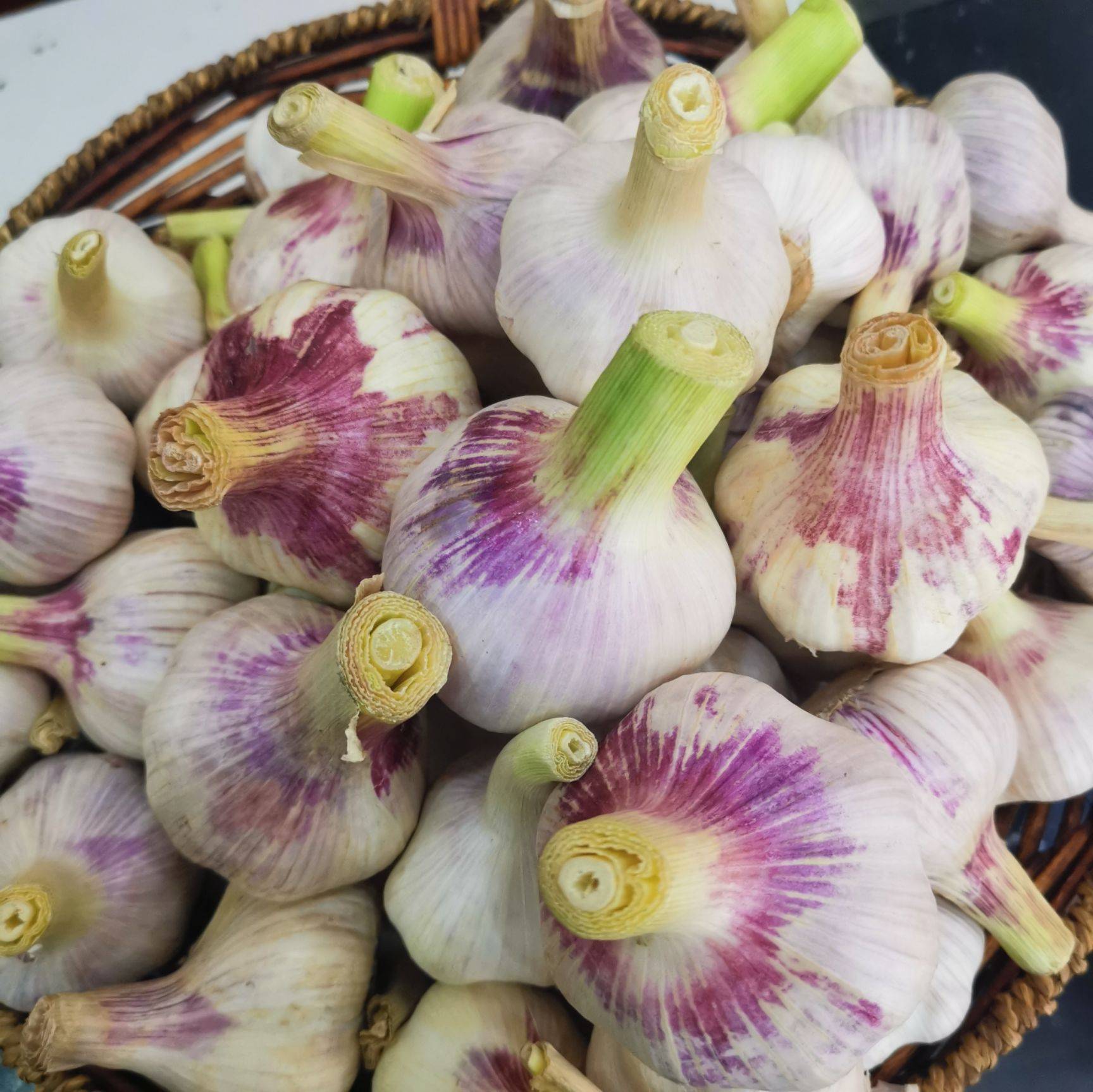 大蒜不放冰箱怎么保存(其实保存大蒜不用放冰箱) - 用户投稿 - 尚知号