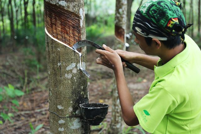 怎样让自己快速入睡，怎样可以快速的入睡（教你三招，5分钟就能快速入睡）