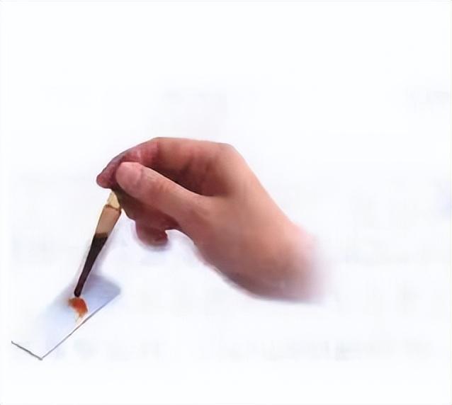 光学显微镜是什么东西，光学显微镜是什么东西图片（通过有趣的实验一起来学习吧）