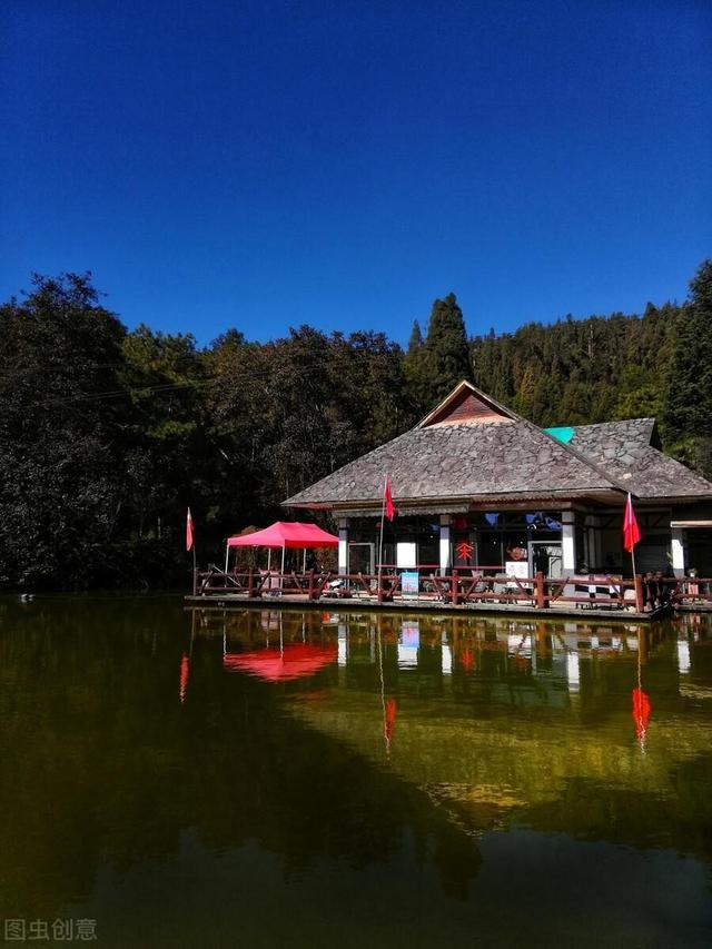 昆明动物园门票，昆明动物园都在哪里（核酸要求开放时间和票价都给你准备好了）