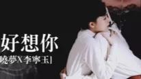 电视剧风声的故事简介，电视剧版《风声》李宁玉到底爱的是谁