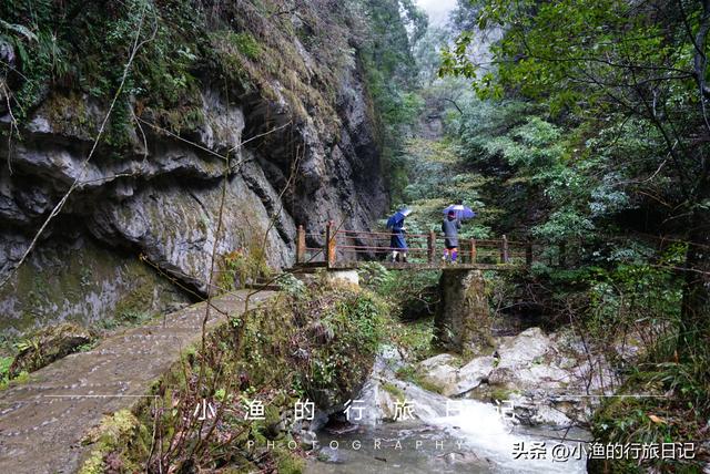万亩油菜花海游玩攻略，奔赴川陕交界的巴山秘境