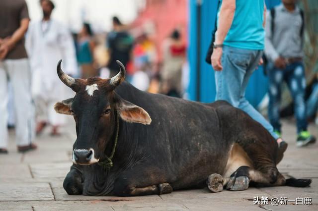 全球最强势国家排名，全球实力最强大的＂8个国家＂