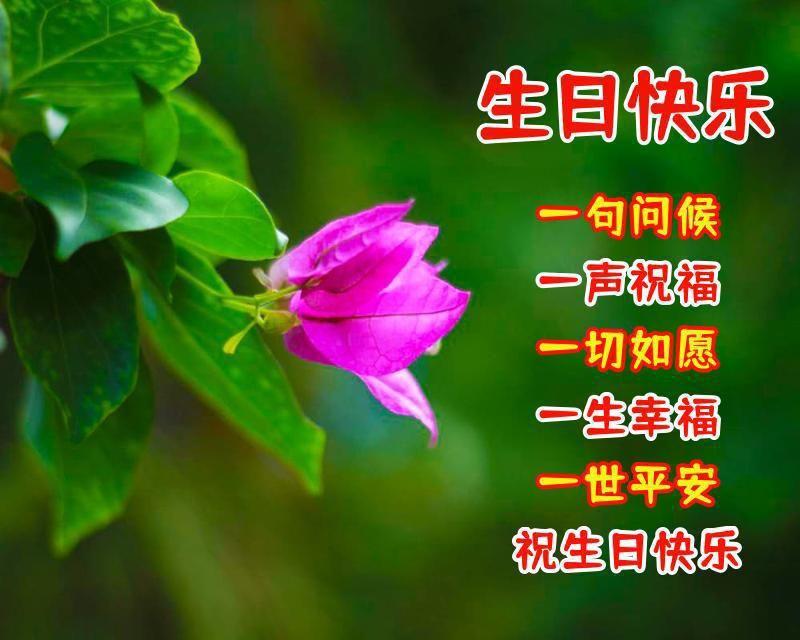 温馨的生日贺卡祝福语，生日贺卡简单的祝福语大全（送最好朋友的真诚祝福语录）