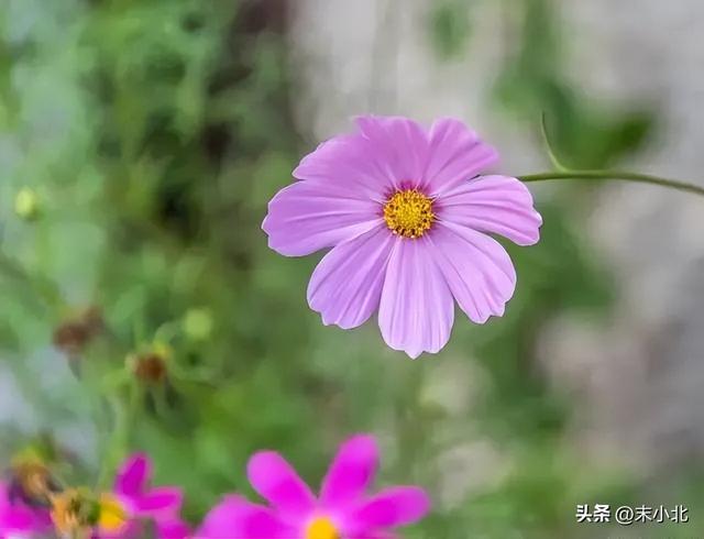 个人特质有哪些，一个人的特质有哪些（往往有以下五个特点）