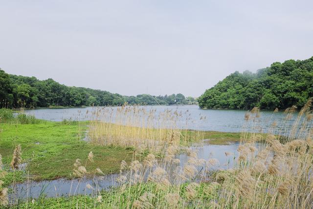 南京周边旅游景点推荐，南京周边自驾游（34个好玩又免费的宝藏公园）