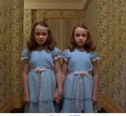 闪灵解析，闪灵解析知乎（恐怖片NO.1《闪灵》）