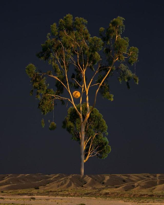 平安幸福的格言，平安是福名言（写给自己保持好心态的人生格言）