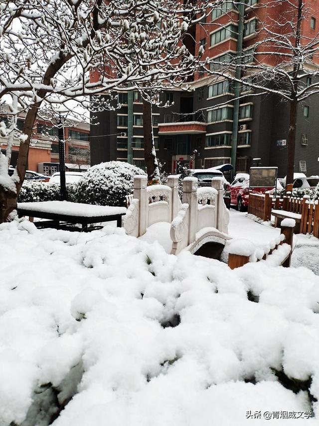 春天真美写一小段话，春天真美呀写句子（一场雪，让这里的春天真美）