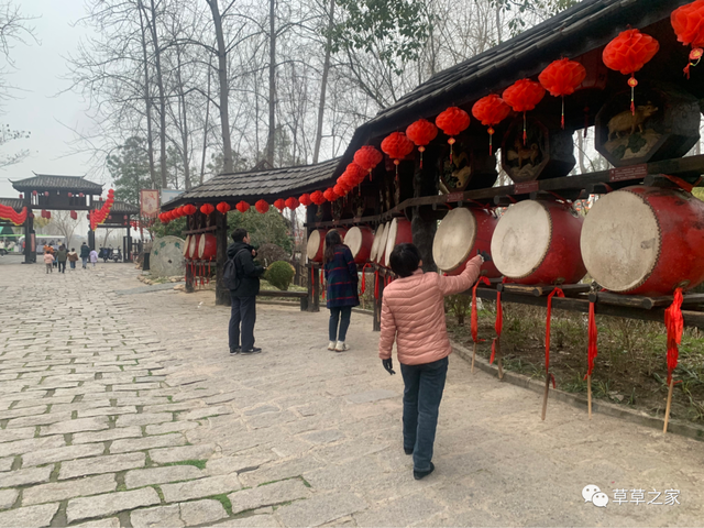 滨湖湿地森林公园，滨湖湿地森林公园游玩攻略（滨湖湿地森林公园）