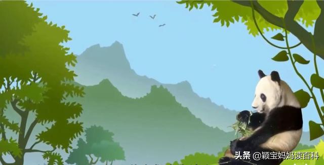 什么叫哺乳动物，什么叫哺乳动物怎么听一遍啊（<二十一>——强大的哺乳动物）