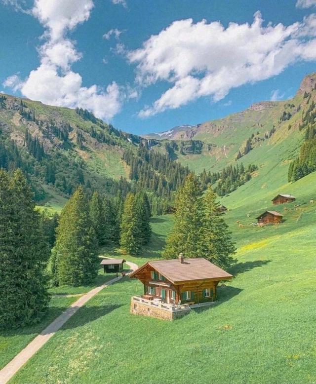 微信状态背景视频，微信怎么做状态背景视频（<有教程和配套农场状态背景图>）