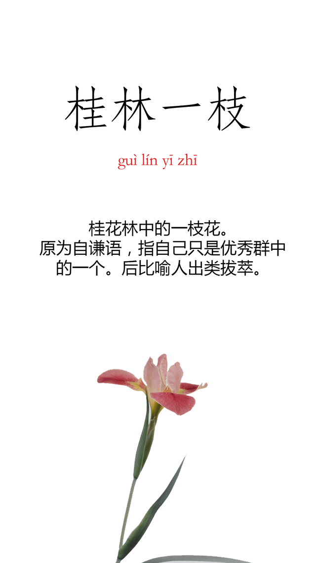 祝福的四字词语，美好祝福的四字词语（七个饱含深切祝福的成语）