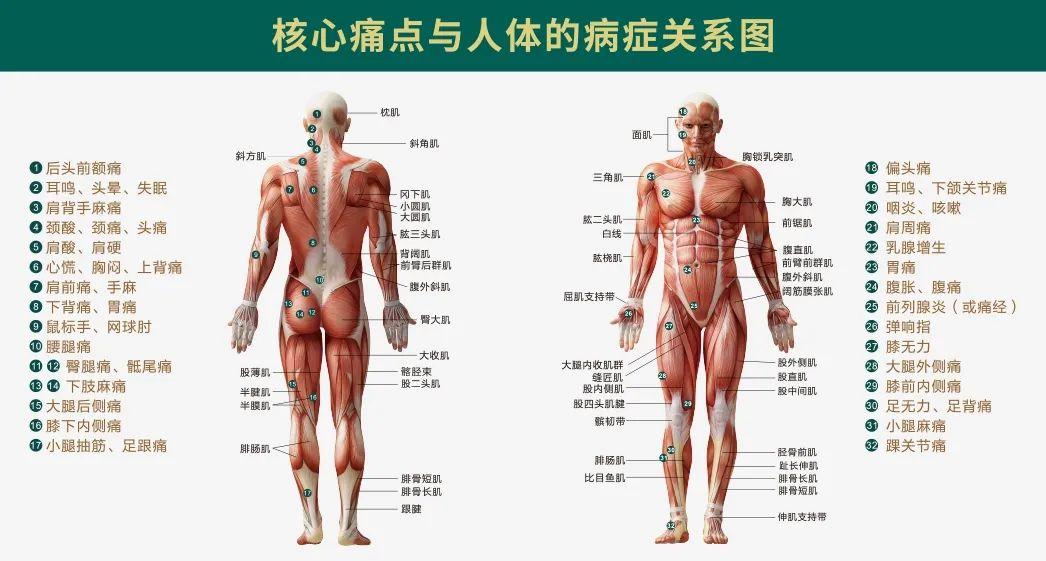 耳朵里面疼的原因，耳朵里面痛是怎么回事（“痛点”——所有疼痛的来源）