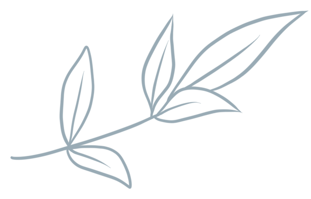 轮虫为什么能净化污水，污水处理轮虫作用（什么是废水好氧生物处理）