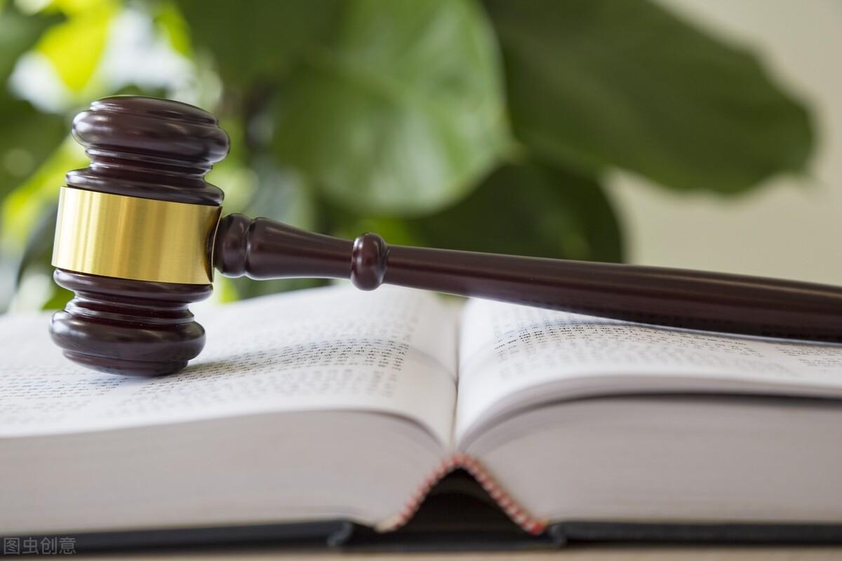 中国法律法规大全（招标采购法律法规大全2022版）