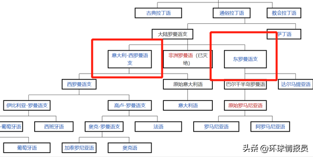 鹰的精神品质八个字，雄鹰的精神是什么（为什么是“高卢雄鸡”）