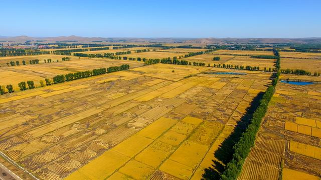 二月二吃猪头肉，各有2层意思，你知道吗（二月二吃猪头肉图片）