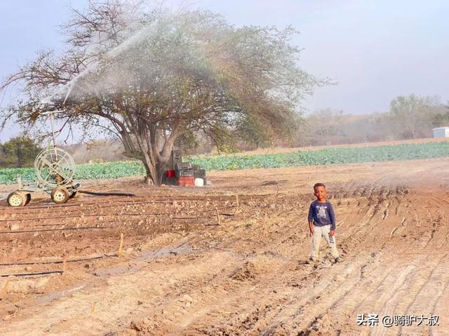 非洲最富有的国家，非洲富裕的国家排名（最穷国家津巴布韦）