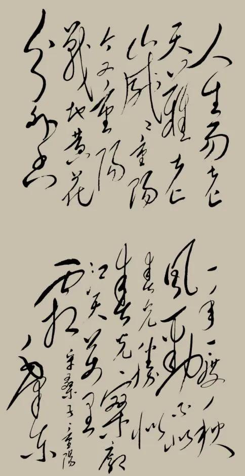 采桑子重阳赏析，毛泽东诗词鉴赏《采桑子