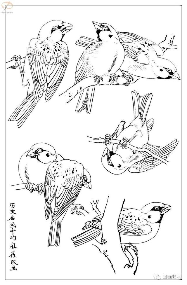 火的简笔画图片，火焰怎么画简笔画图片（画鸟参考——白描麻雀百图）