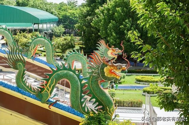 花.草.木象征的意义，花木象征含义的由来有哪几种（五行基础知识之《木的含义与其所代表的是什么）