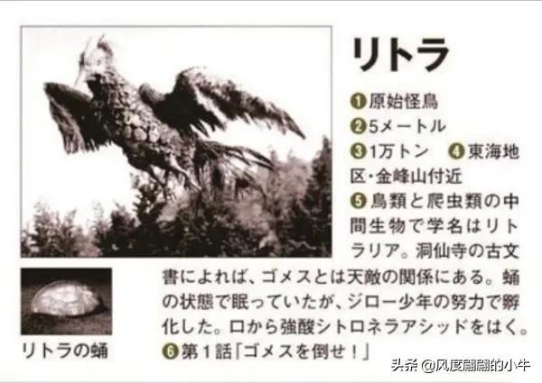 手q是什么意思，手Q是什么意思（奥特Q怪兽图鉴）