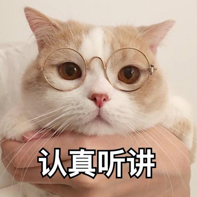 猫咪智商排行榜前100名，猫咪智商排行榜