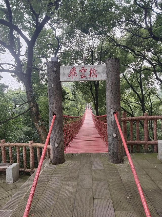 歌乐山森林公园，重庆旅游必去景点（歌乐山国家森林公园）