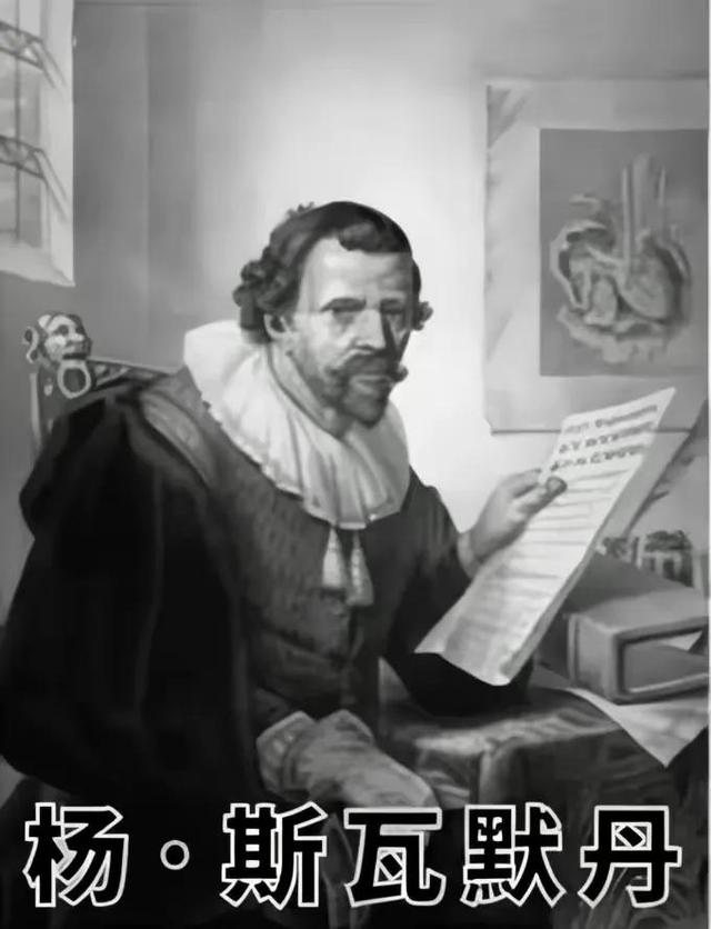 为什么**毛虫会变成蝴蝶呢（毛毛虫究竟是怎么变成蝴蝶）