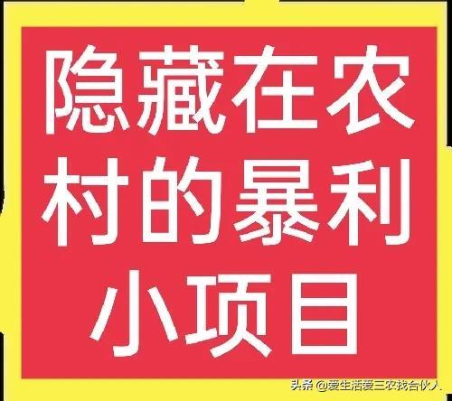 下乡***产品有哪些（六大隐藏在农村的***小项目解析）