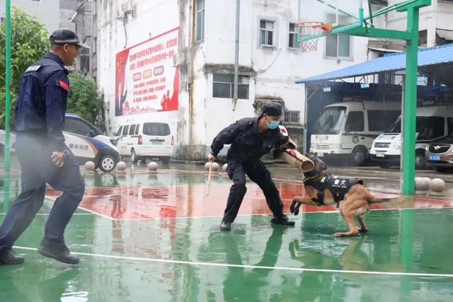 警用对讲机的简介和特点详情介绍，公安警用对讲机品牌（警宝收获特殊节日礼物）
