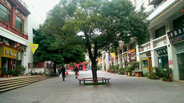 深圳一日游攻略，深圳一日游攻略自由行（深圳1日游两条经典路线，古城）