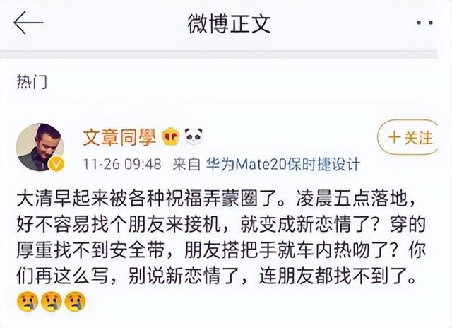 文章主演的电视剧，文章主演的电视剧大全集（人生差距一个天一个地）