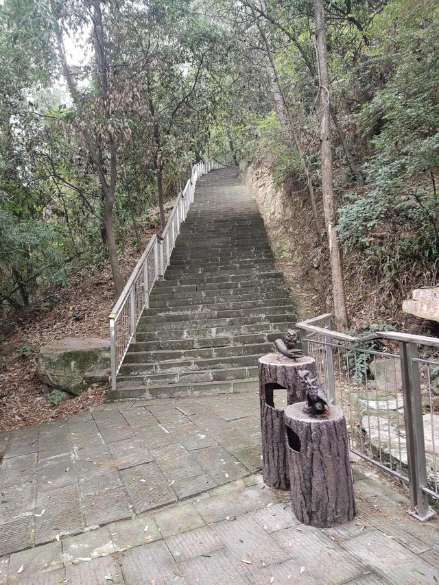 歌乐山森林公园，重庆旅游必去景点（歌乐山国家森林公园）