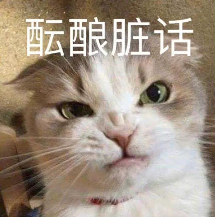 狗狗和猫的表情包，表情包：小猫小狗的表情包