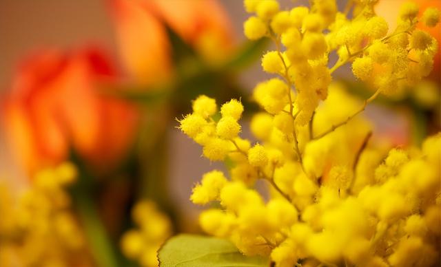 温柔的人是什么样的，性格温柔的女人是怎样的（温柔的人，很难让人不爱）