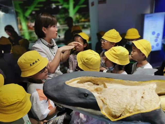 郑州一日游必去的地方，郑州景点排行榜（2022郑州夏季最值得去的六大景点推荐）