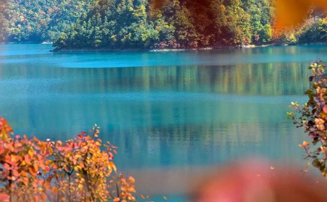 陇南市旅游景点，陇南旅游必去景点攻略（畅游陇南甘南）