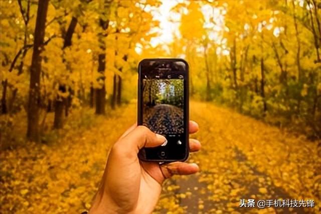 电脑p图软件哪个好用（2022最值得推荐的修图工具）