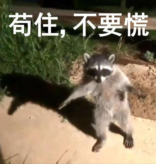 qq邮箱怎么发图片，如何在QQ邮箱中发送图片给好友（突然关停这功能，我人“傻”了）