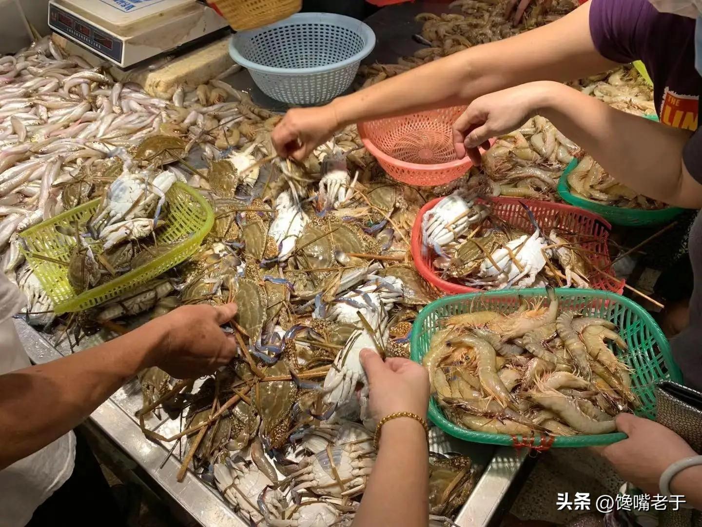 开海后必尝！五种公认最鲜美海鱼推荐，吃货不可错过的海洋美味清单