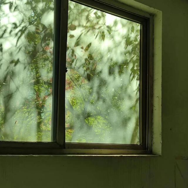 绿色系背景图，绿色背景图片纯色 护眼（背景图，生活总是带点绿色的）