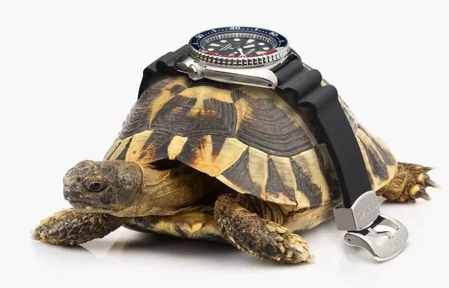 世界十大奢侈品手表，全球十大奢侈手表品牌排行榜男士（这些手表外号你知道几个）