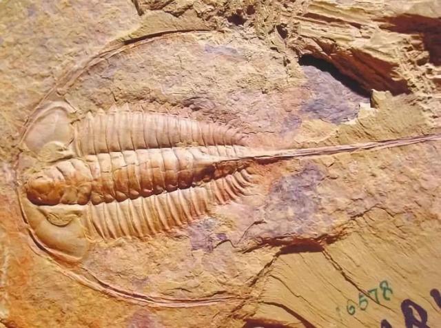 世界文化遗产名录介绍，世界文化遗产名录介绍资料（中国56项世界遗产）