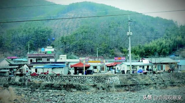 苟杳吕洞宾的故事，苟杳吕洞宾的故事读书心得（40年前的韩国第一纵欲杀手）